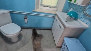 Шантаж - дело верное!