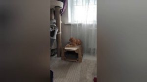 "Здрасти"- гостей приглашали? 😃