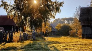 Сборник деревенских интересных историй из жизни.