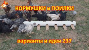 Кормушки и поилки для кур своими руками 237 🪚✂️ Пошаговая инструкция как сделать 🐔 🐓❣️