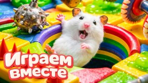 НОВЫЙ ОПАСНЫЙ ЛАБИРИНТ ДЛЯ ХРАБРОГО И УМНОГО ХОМЯКА 🐹🏆 ВИДЕО ДЛЯ ДЕТЕЙ ! ЧАСТЬ 6
