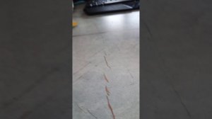 пишите цены в комм