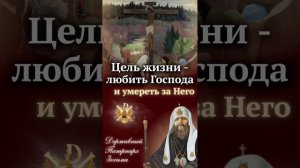 Цель жизни – любить Господа и умереть за Него
Державный Патриарх Зосима.