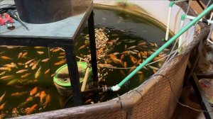 Барабанный фильтр для аквариума