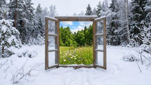 Окошко в лето...