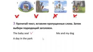 SPOTLIGHT 4 рабочая тетрадь 50,51 страница