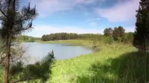 лесное-озеро-около-деревни-каменушка-гурьевский-район-кемеровская-область
