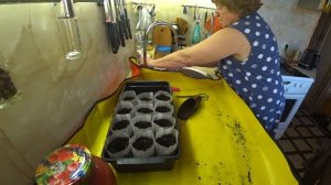 Влог 17.03.26. Пикирую перцы Лечо. Заказ с Озон не оправдал надежды.