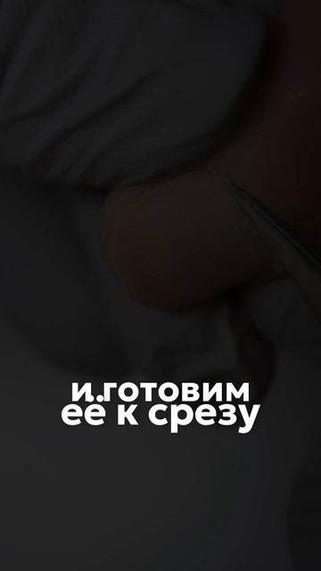 Протокол за 30 минут