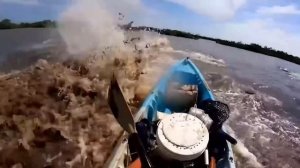 Если Бы Это Видео Не Сняли На Камеру, Никто Бы Точно Не Поверил!