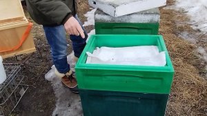 18марта. СОКРАТИТЬ ПЧЕЛИНОЕ ГНЕЗД ВЕСНОЙ или нет
