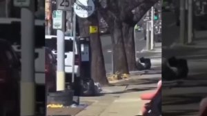 🔴США*. Угольки.🙂🔴