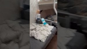 димины капризы