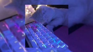 плейлист подбор песен рандом ( speed up )