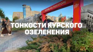 Чего не хватает курскому озеленению, кроме денег