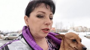 Сводила Айлу в вет. клинику на консультацию.