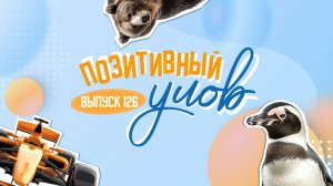 Снег в Сахаре и комнатное северное сияние. "Позитивный улов"