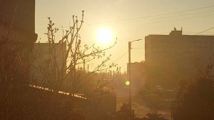 Я заболела еле хожу.😔