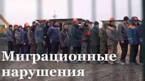 В ЛНР с 2026 года выявили 320 нарушений миграционного законодательства