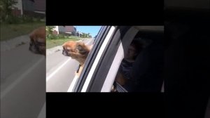 Поездка до Ирбита.Рыбалка