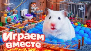 НОВЫЙ ОПАСНЫЙ ЛАБИРИНТ ДЛЯ ХРАБРОГО И УМНОГО ХОМЯКА 🐹🏆 ВИДЕО ДЛЯ ДЕТЕЙ ! ЧАСТЬ 5