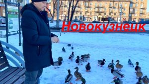 Новокузнецк / ВЕСНА  / Прогулка по городу / НАКОРМИЛИ УТОК / что купили #2026 #жизнь #надеждажитина