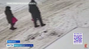 Подозреваемую в краже более 400 тысяч рублей задержали в Череповце