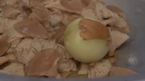 Осенний сбор и засолка лесных грибов.