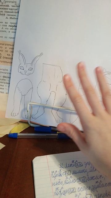 заклазакладки