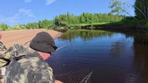Рыбалка на окуня и щуку