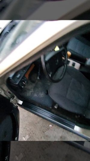 video-1955_singular_display