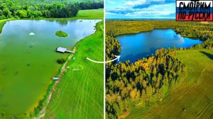 Убираем окуня из пруда площадью 5 акров 🎣🐟 (Большая проблема ⚠️)