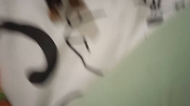 показываю как все устроены