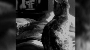 плейлист песен на вечер 🎶 ( speed up )