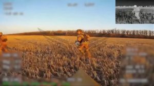 03182131231231231231231