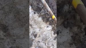 идëм в школу 1часть