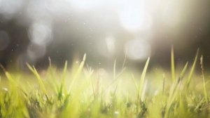 Успокаивающая музыка для нервов 🌿 лечебная музыка для сердца и сосудов, релакс, музыка для души