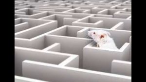 ЗЕМЛЯ - ГИГАНТСКИЙ КОРАБЛЬ ДИСК АЛДЕРСОНА.