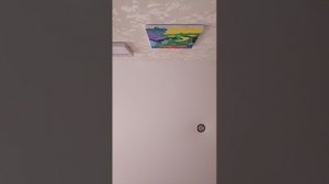 вторая половина дня с реборном Димой часть 1