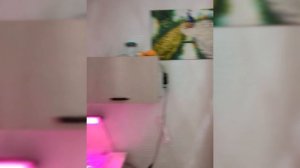 красивый пруд