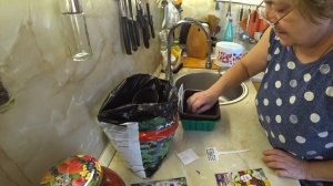 Влог 16.03.26. Сажаю остеоспермум и хризантему корейскую. Забежала Аллочка проведать родителей.