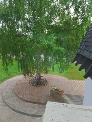 заходи тут 3 в 1!