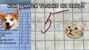 как учится только на пять?