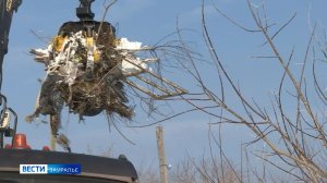 Санитарный журналистский патруль