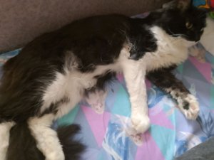 танцпол везде