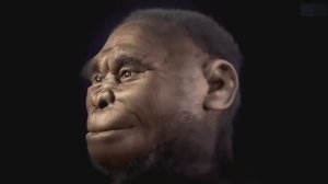 Ученые обнаружили ГИГАНТСКОЕ ЯЙЦО в Антарктиде