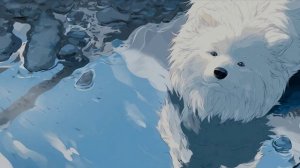 Пёсик, дождик, и отражение в луже 😀🎶18-03-2026