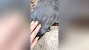 ‼️ СПАСАТЕЛЬНАЯ ОПЕРАЦИЯ ‼️