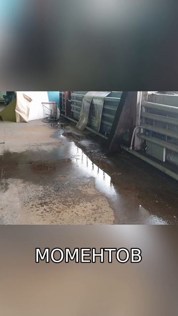 2 ошибки экономии, из-за которых Рыбные фермы УЗВ не запускаются