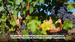Путь от воссоединения до новых побед: что изменилось в Крыму за 12 лет в составе России
